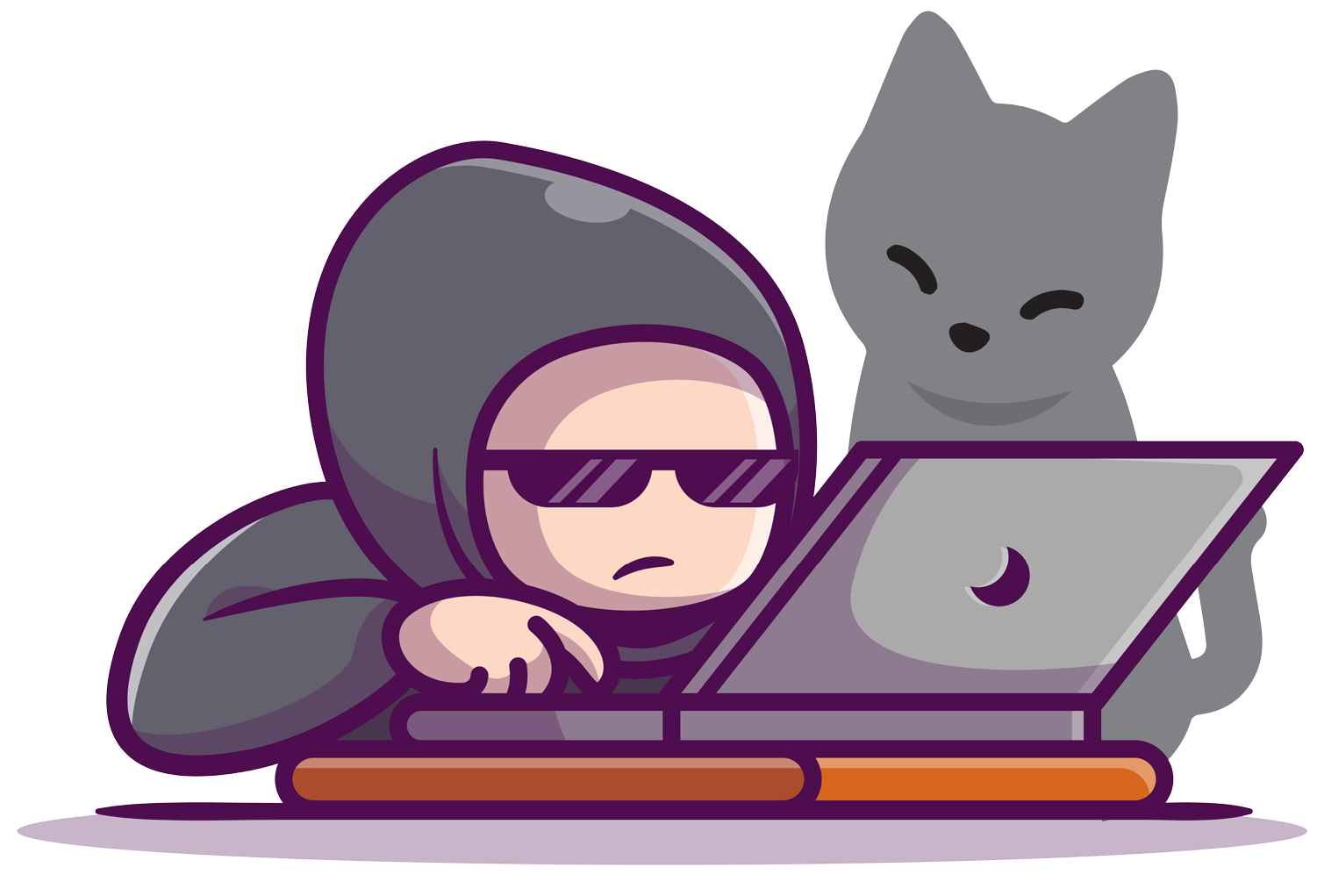 Programmer